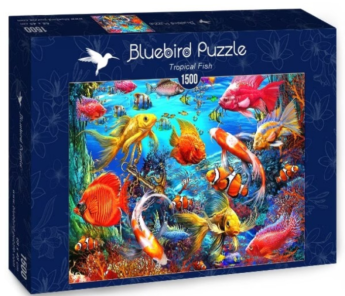 Puzzle - Bluebird - Ryby tropikalne