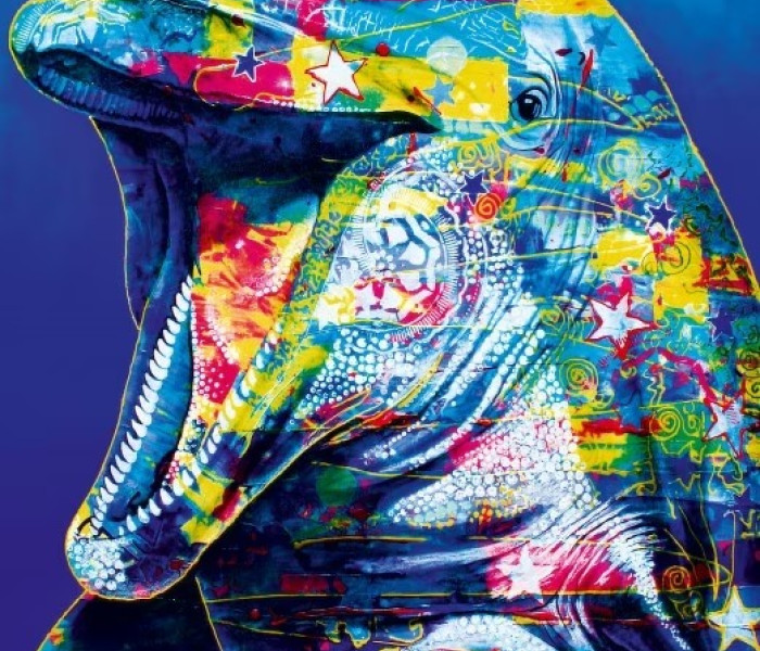 Puzzle - Bluebird - Delfin