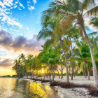 Puzzle - Bluebird - Gwadelupa - plaża Anse Champagne