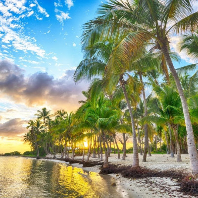 Gwadelupa - plaża Anse Champagne