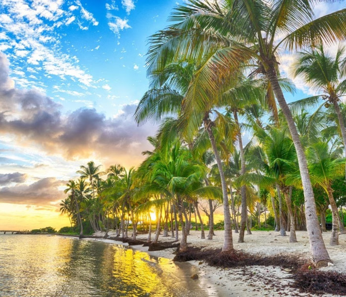 Puzzle - Bluebird - Gwadelupa - plaża Anse Champagne