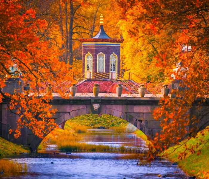 Puzzle - Bluebird - Park Katarzyny, Puszkin, Rosja