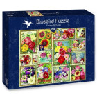 Puzzle - Bluebird - Zdjęcia kwiatów