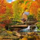 Puzzle - Castorland - Magiczna jesień