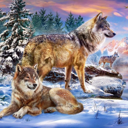 Wilcza Kraina Czarów