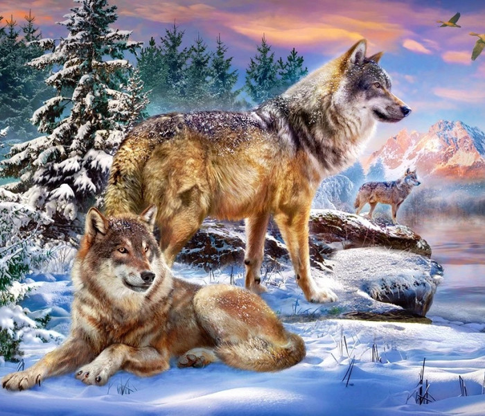 Puzzle - Castorland - Wilcza Kraina Czarów