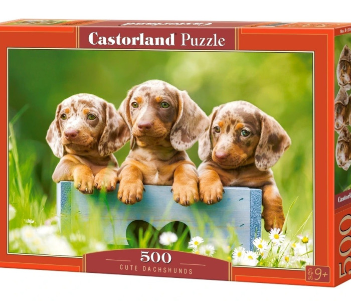 Puzzle - Castorland - Słodkie jamniki