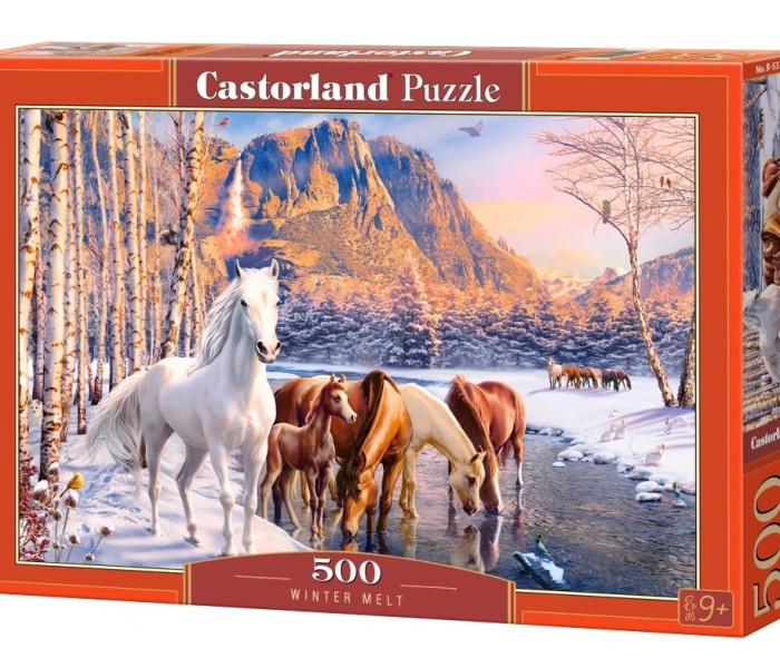 Puzzle - Castorland - Zimowe topnienie