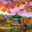 Puzzle - Castorland - Pałac Gyeongbokgung, Seul, Korea Południowa