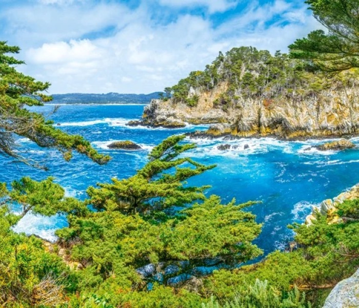 Puzzle - Castorland - Wybrzeże Kalifornii