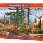 Puzzle - Castorland - Królewska rodzina jeleni