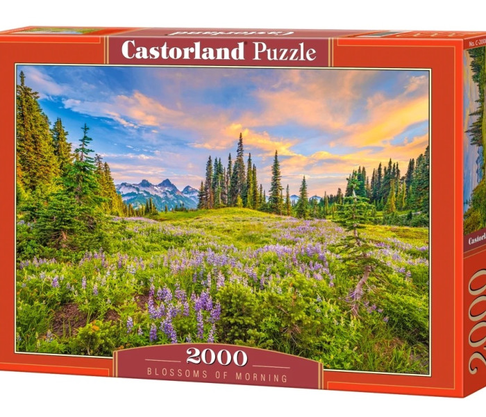 Puzzle - Castorland - Kwiaty poranka