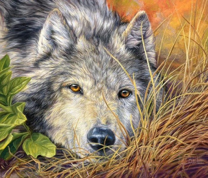 Puzzle - Castorland - Czysta dusza