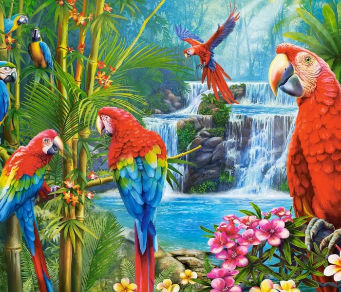 Puzzle - Castorland - Spotkanie Papug