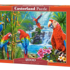 Puzzle - Castorland - Spotkanie Papug