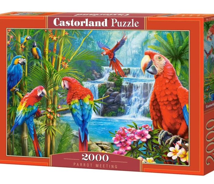 Puzzle - Castorland - Spotkanie Papug