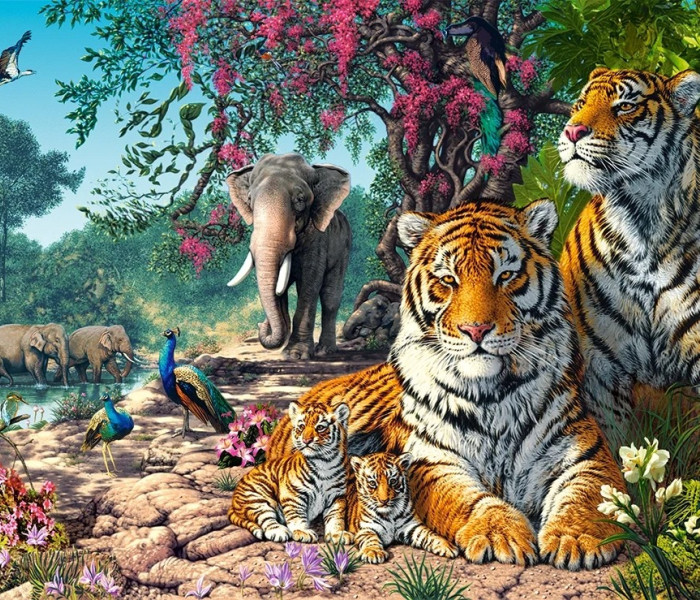 Puzzle - Castorland - Rezerwat tygrysów