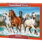 Puzzle - Castorland - Zew natury