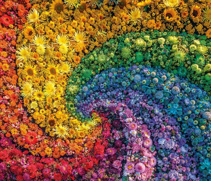 Puzzle - Clementoni - ColorBoom: Wir