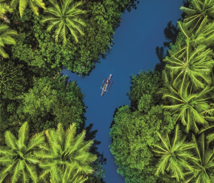 Puzzle - Clementoni - Tropik z góry