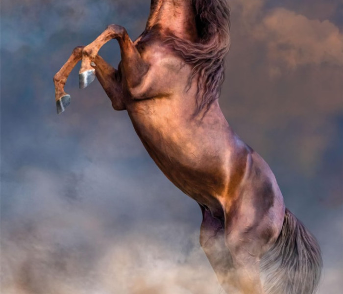 Puzzle - Clementoni - Duży czerwony ogier