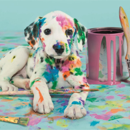 Zabawny dalmatyńczyk