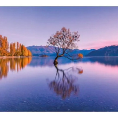 Jezioro Wanaka, Nowa Zelandia - Puzzle Panoramiczne 