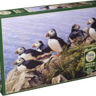 Puzzle - Cobble Hill - Jasny dzień