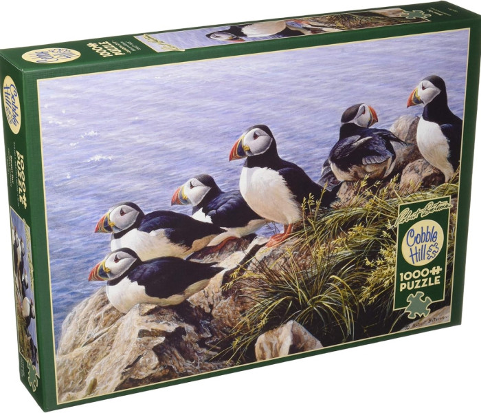 Puzzle - Cobble Hill - Jasny dzień