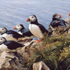 Puzzle - Cobble Hill - Jasny dzień