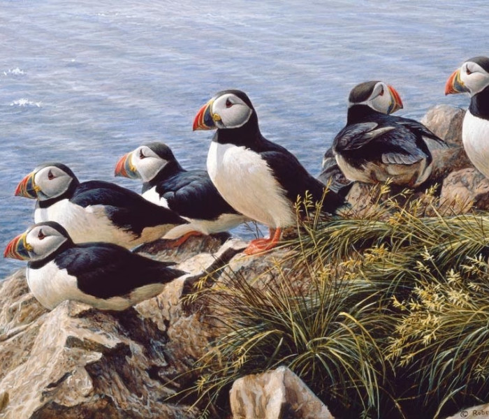 Puzzle - Cobble Hill - Jasny dzień