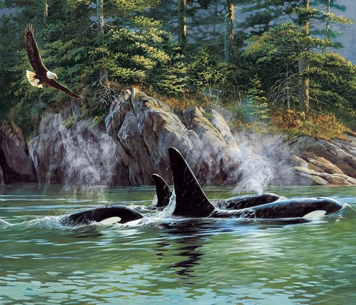 Puzzle - Cobble Hill - Orki