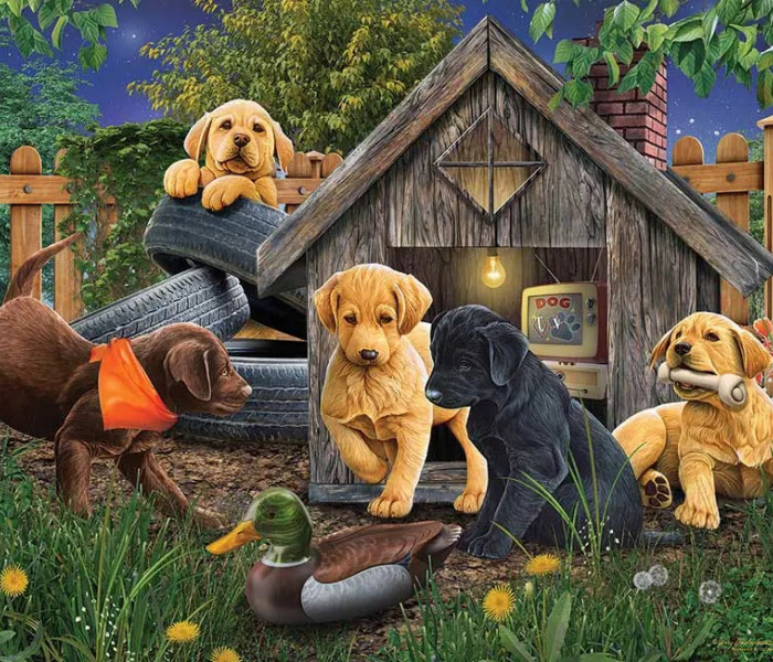 Puzzle - Cobble Hill - W budzie