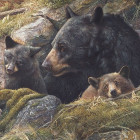 Puzzle - Cobble Hill - Podwójna miłość