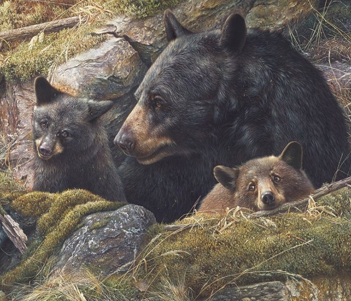 Puzzle - Cobble Hill - Podwójna miłość