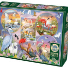 Puzzle - Cobble Hill - Urocze ptactwo wodne