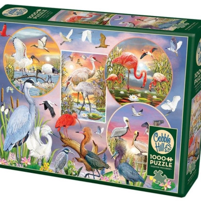 Urocze ptactwo wodne