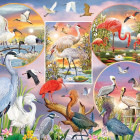 Puzzle - Cobble Hill - Urocze ptactwo wodne