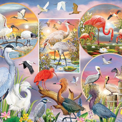 Urocze ptactwo wodne