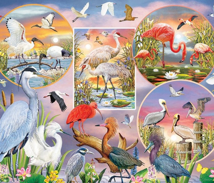 Puzzle - Cobble Hill - Urocze ptactwo wodne