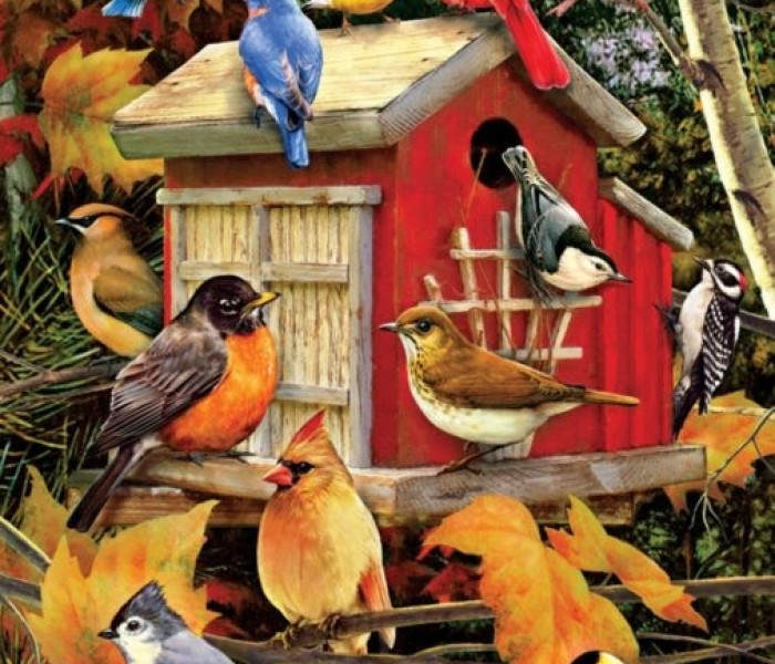 Puzzle - Cobble Hill - Jesienna budka dla ptaków