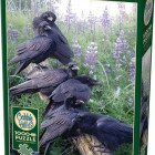 Puzzle - Cobble Hill - Spotkanie Ravens