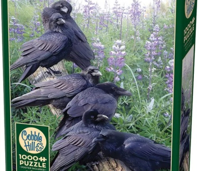 Puzzle - Cobble Hill - Spotkanie Ravens