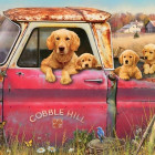 Puzzle - Cobble Hill - Gospodarstwo