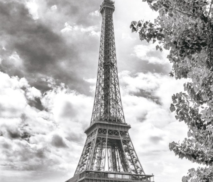 Puzzle - Dino - Czarno-biała wieża Eiffla