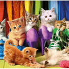 Puzzle - Dino - Kolorowe kocięta