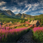 Puzzle - Dino - Dolina Gaseinic