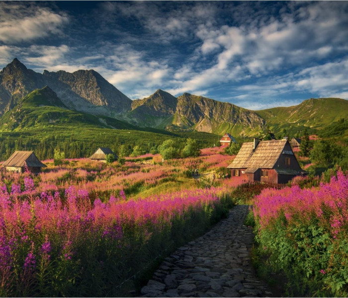 Puzzle - Dino - Dolina Gaseinic