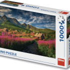 Puzzle - Dino - Dolina Gaseinic
