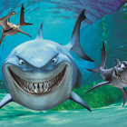 Puzzle - Dino - Gdzie jest Nemo?